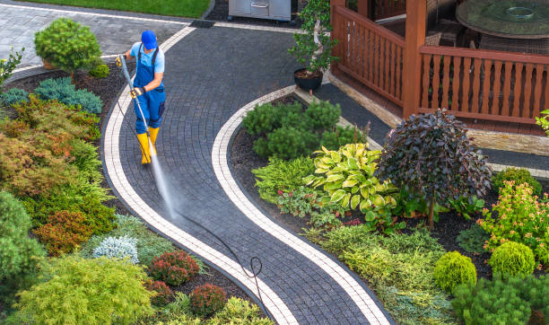 Best Roof Power Washing Services  in Taylor, PA